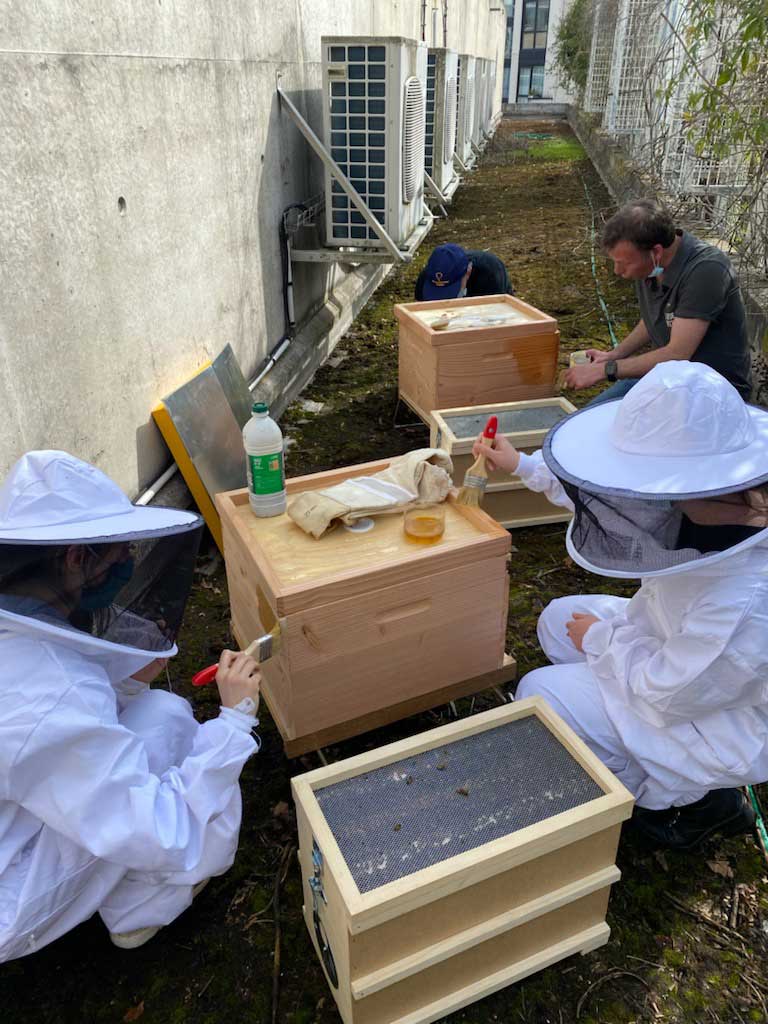 Club d'apiculture de la MJC Brancion PARIS ANIM' 15 Espace Cévennes
