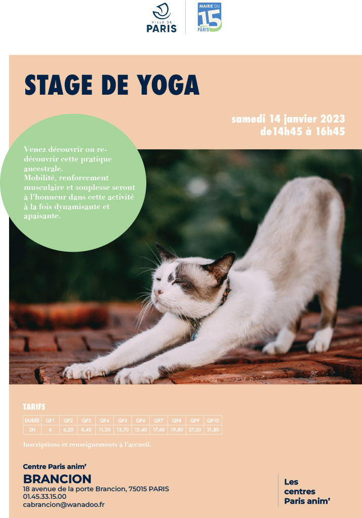 Stage de yoga du centre PARIS ANIM' 15eme arrondissement Brancion en janvier 2023