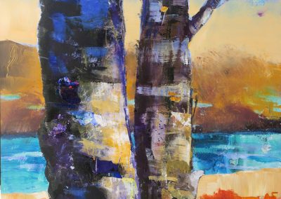 Paysages palimpsestes