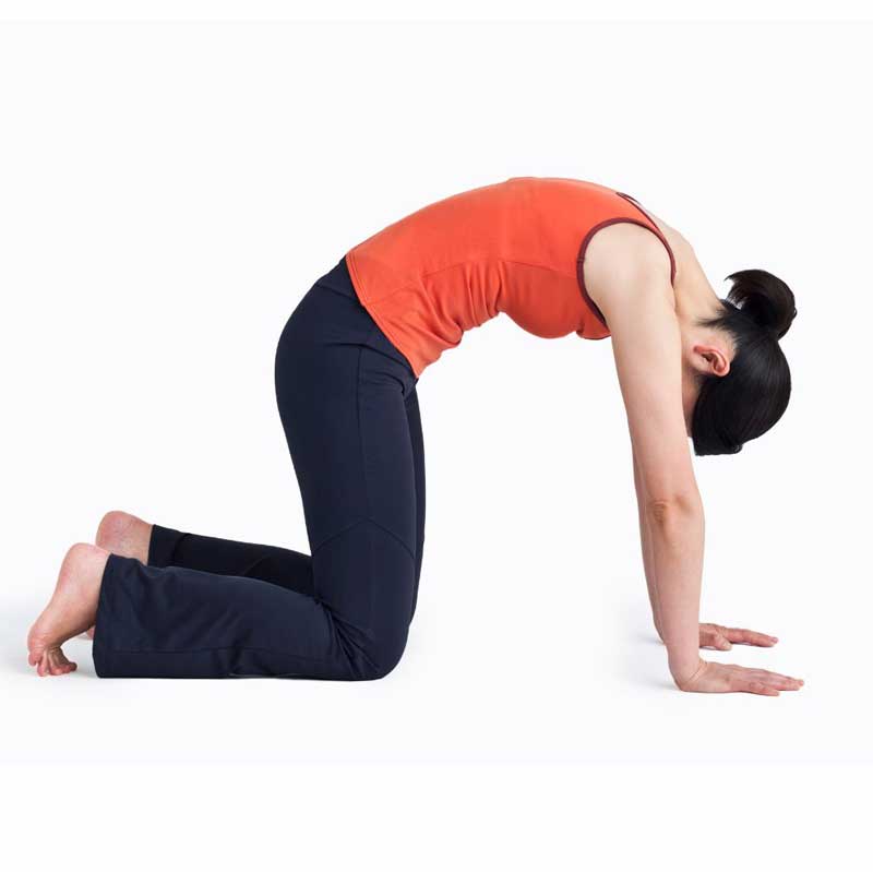 Mise en disponibilité corporelle activité sport Paris Cours de Mise en disponibilité corporelle Paris 15